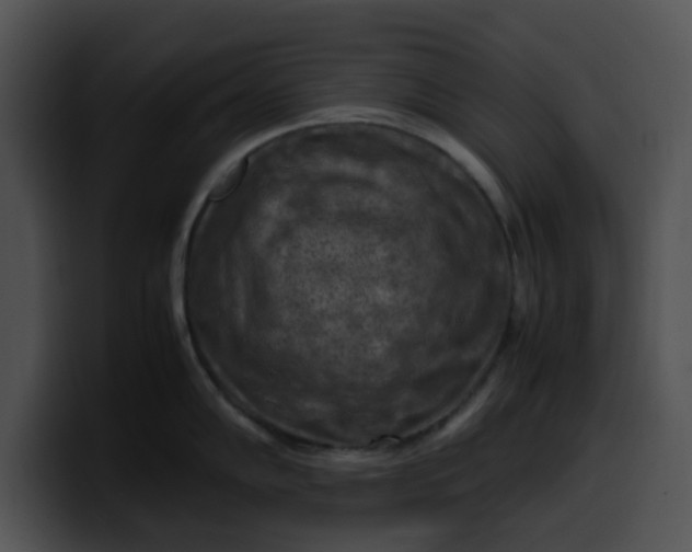 X0000099981102200806061518