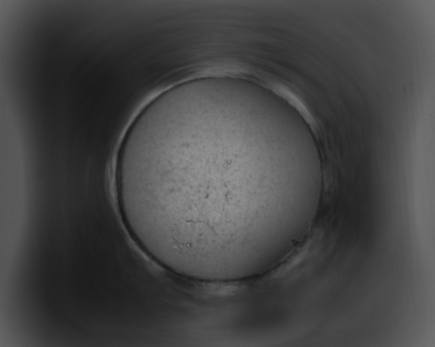 X0000099981103200806061518