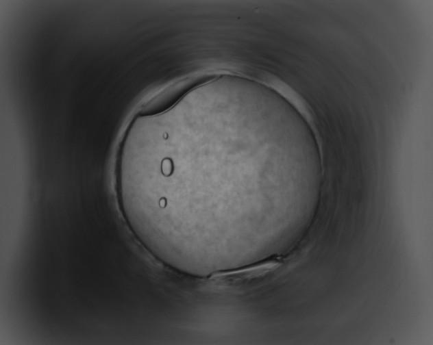 X0000099981104200806061518