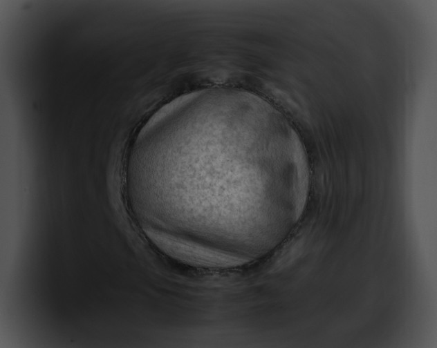 X0000099981105200806061517