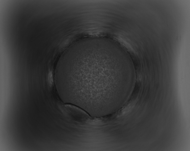 X0000099981106200806061517