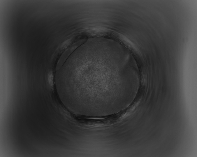 X0000099981108200806061517