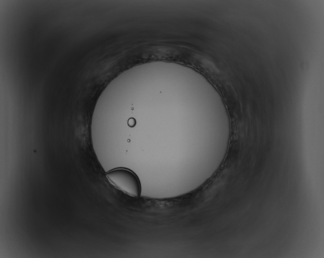 X0000099981109200806061517