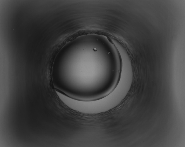 X0000099981110200806061517