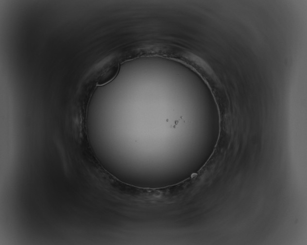 X0000099981111200806061517