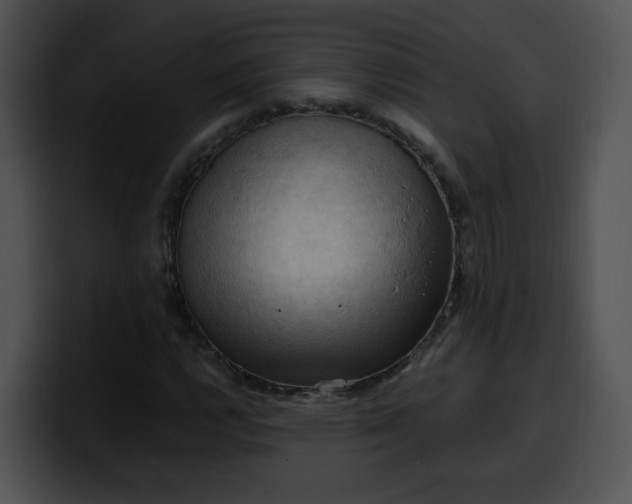 X0000099981112200806061517