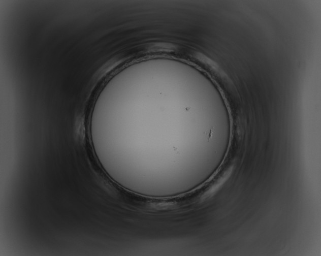 X0000099981113200806061517