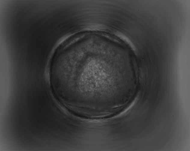 X0000099981114200806061517