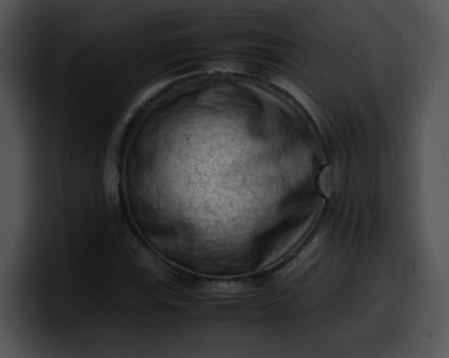 X0000099981115200806061517