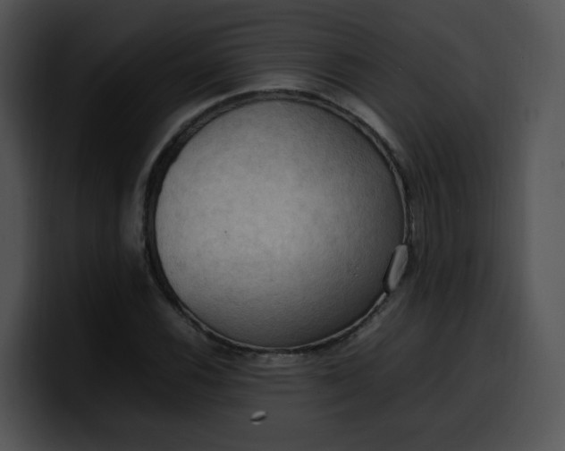 X0000099981116200806061517