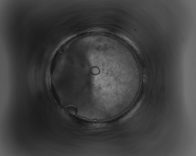 X0000099981117200806061517