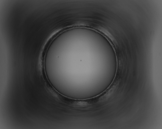 X0000099981119200806061517