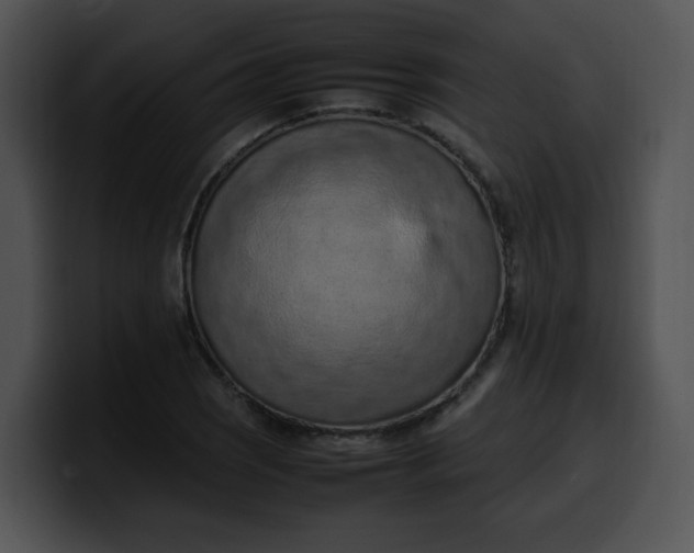 X0000099981121200806061517