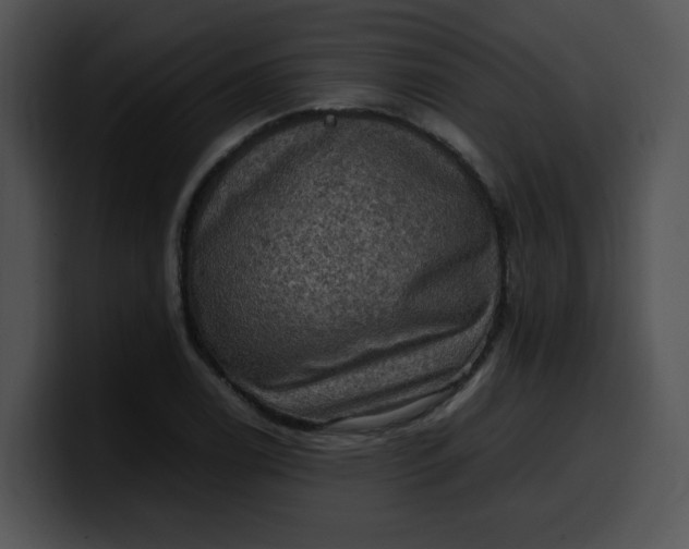 X0000099981122200806061517