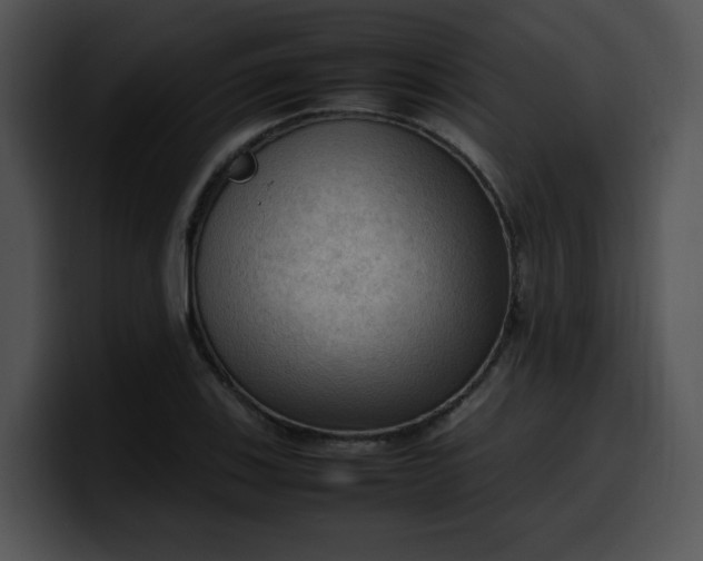 X0000099981123200806061517