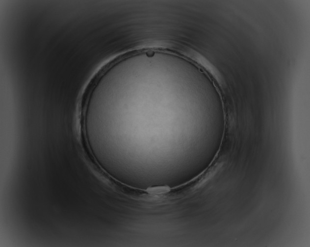 X0000099981124200806061517