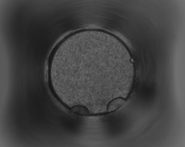 X0000099981126200806061517