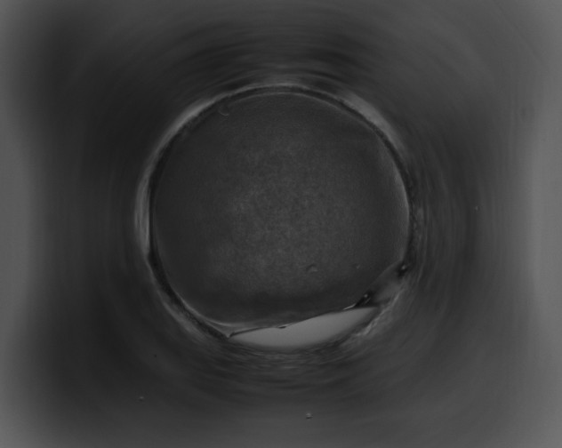 X0000099981127200806061517