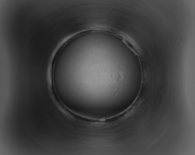 X0000099981128200806061517