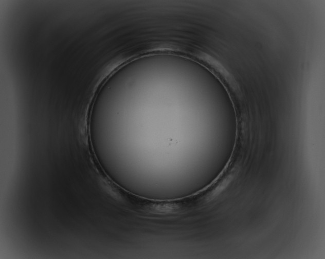 X0000099981129200806061517