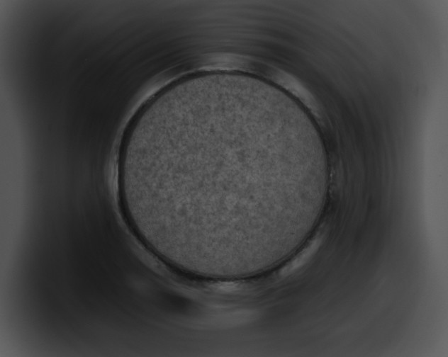 X0000099981130200806061517