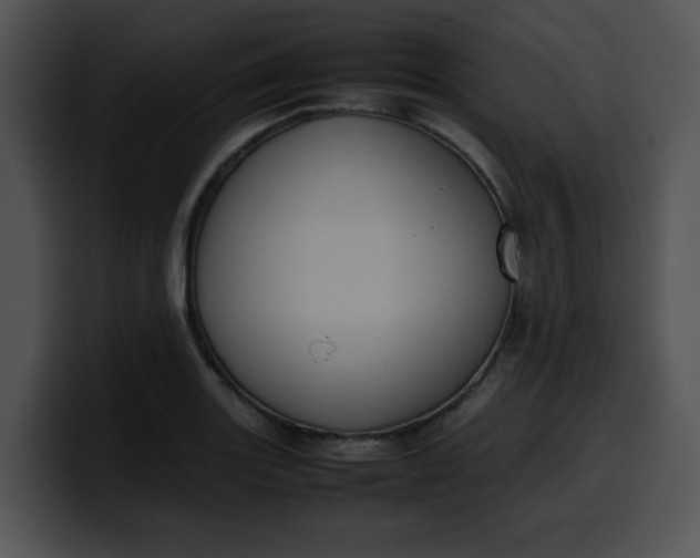 X0000099981131200806061517