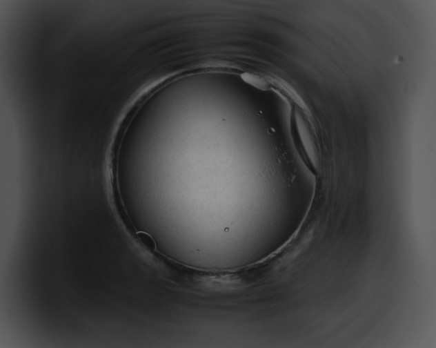 X0000099981133200806061518