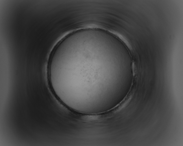 X0000099981134200806061518