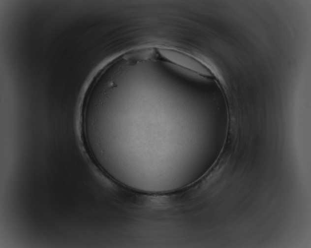 X0000099981136200806061518