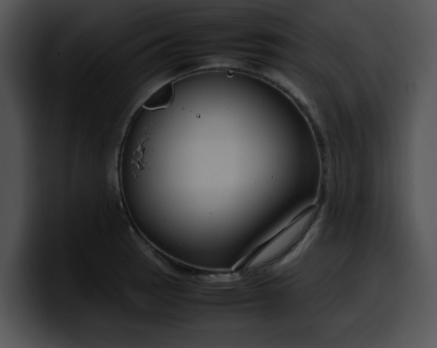 X0000099981137200806061518