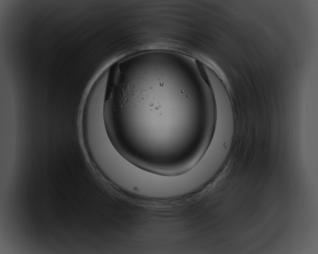 X0000099981138200806061518