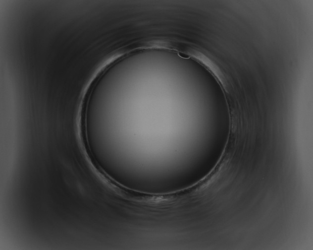 X0000099981139200806061518