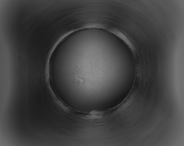 X0000099981140200806061518