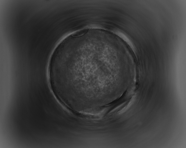 X0000099981141200806061518