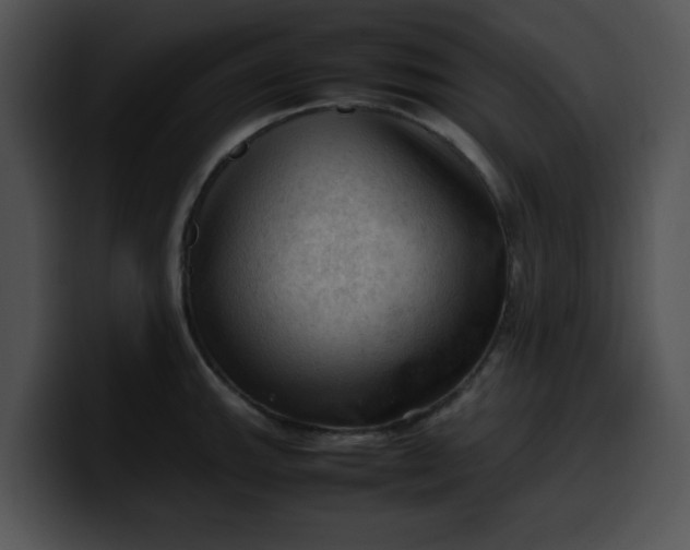 X0000099981143200806061518