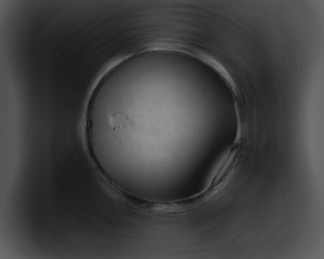 X0000099981146200806061518