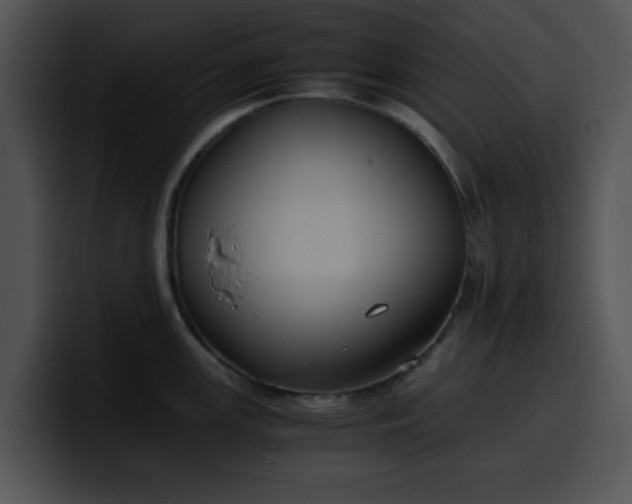 X0000099981147200806061518