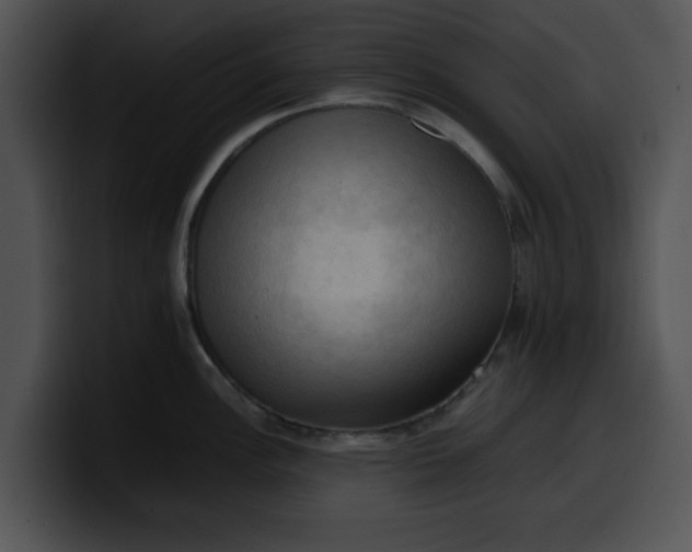 X0000099981148200806061518