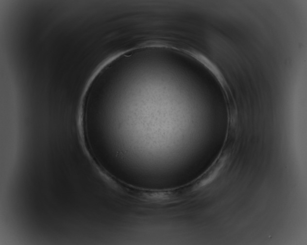 X0000099981149200806061518