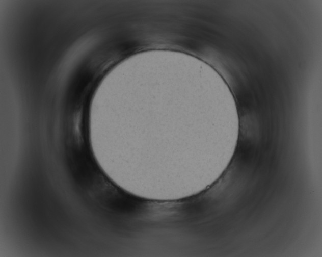 X0000099981150200806061518