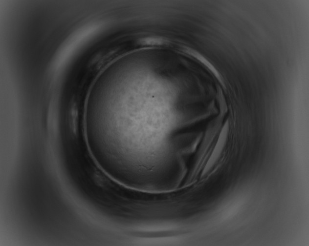 X0000099981151200806061518