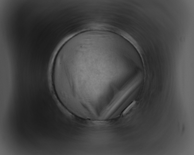 X0000099981152200806061518