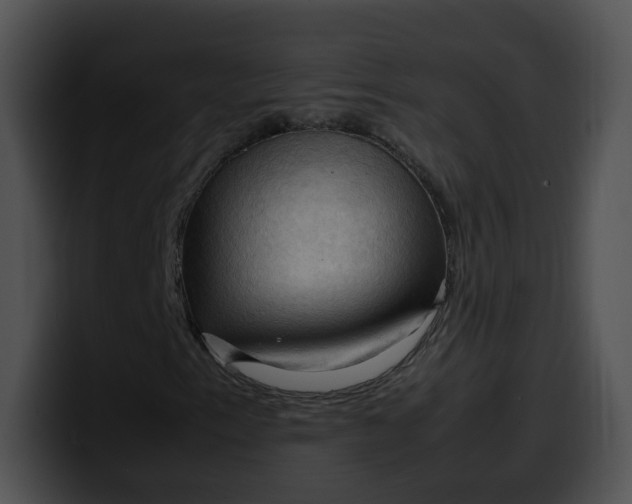 X0000099981153200806061517