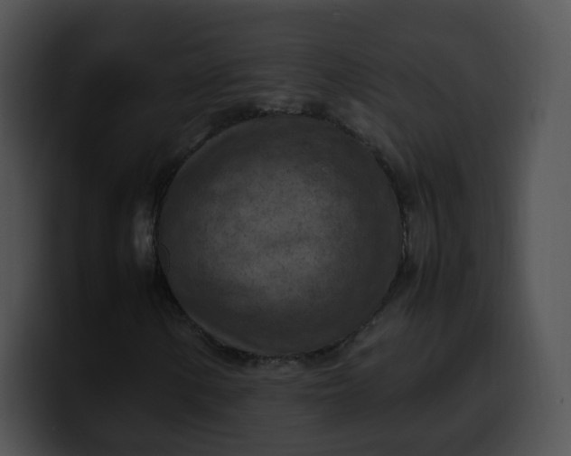 X0000099981154200806061517