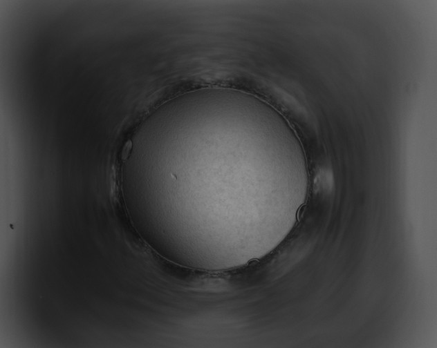 X0000099981156200806061517