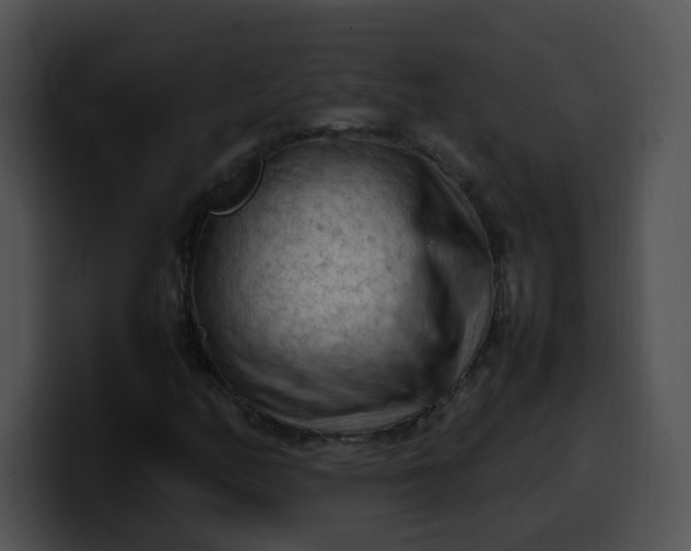 X0000099981158200806061517