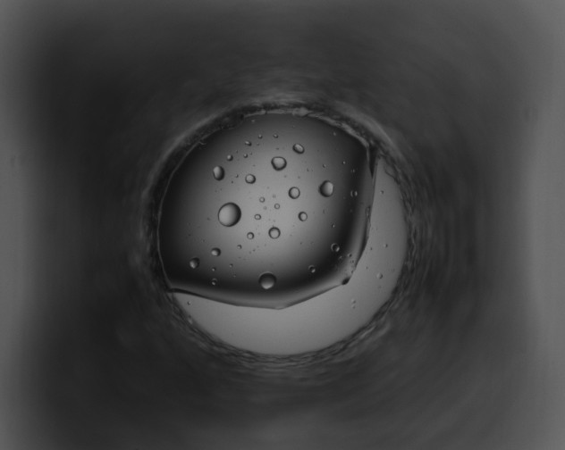 X0000099981160200806061517