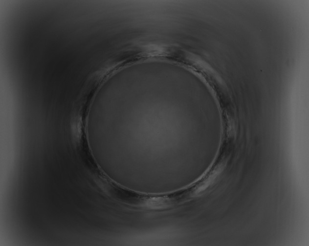 X0000099981161200806061517