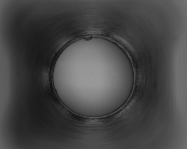 X0000099981162200806061517