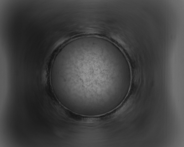 X0000099981163200806061517